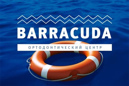 Создание сайта «Барракуда»