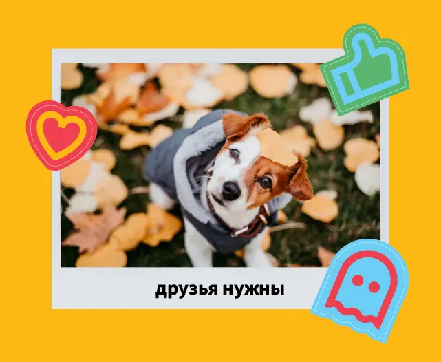 Три идеи для рекламной кампании — три разных характера на выбор: семейный, смешной и мимишный. Брендинговое агентство «Андва»